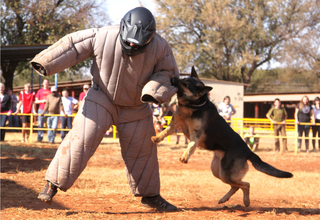 K9 Executive Protection Training